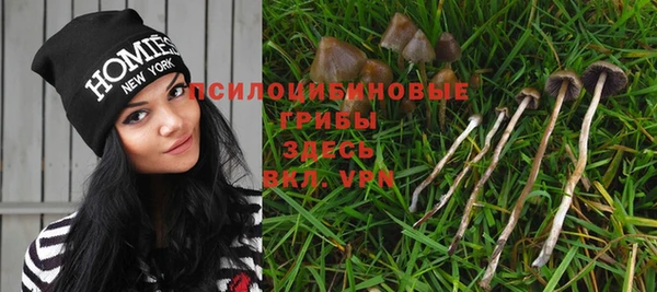 кокс Кинешма