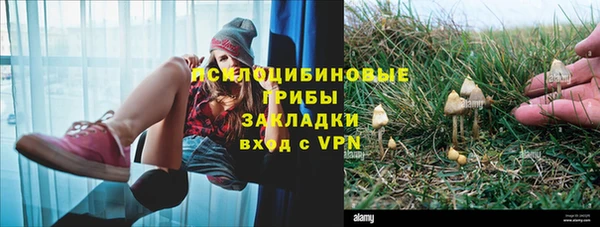 альфа пвп Киреевск